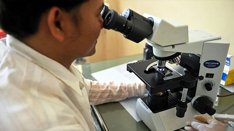 Một nhân viên y tế xem mẫu bệnh sốt rét qua kính hiển vi tại trung tâm y tế tỉnh Pailin (Ảnh: Báo Bưu điện Phnom Penh)