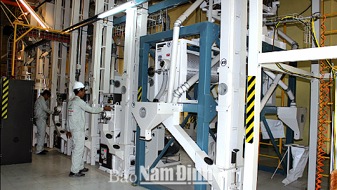 Cơ sở sản xuất, chế biến gạo chất lượng cao của Cty TNHH Toản Xuân ở xã Yên Lương (Ý Yên).