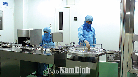 Sản xuất thuốc tại Cty CP Dược phẩm Minh Dân.