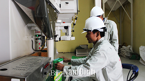 Sản xuất và đóng gói sản phẩm gạo sạch tại Cty TNHH Toản Xuân, xã Yên Lương (Ý Yên).