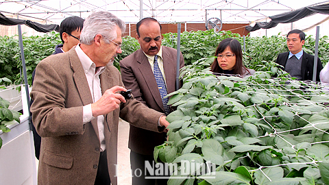 Đoàn cán bộ nước ngoài tham quan mô hình sản xuất khoai tây giống theo công nghệ nuôi cấy mô tế bào ở Trung tâm Ứng dụng tiến bộ KHCN (Sở KH và CN).