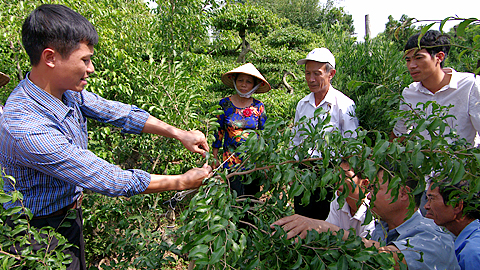 Lớp dạy nghề uốn tỉa cây cảnh xã Nam Thắng (Nam Trực) đã giúp cho hội viên nông dân trong xã có thêm kiến thức.