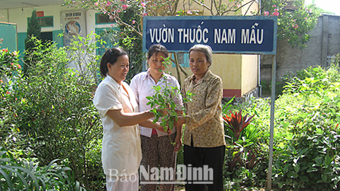 Cán bộ Trạm Y tế xã Nghĩa Đồng (Nghĩa Hưng) hướng dẫn người dân sử dụng cây thuốc nam chữa bệnh.