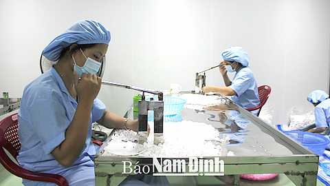Sản xuất bao bì dược phẩm cấp I tại Cty TNHH Hoàng Phát, xã Nam Hồng (Nam Trực).