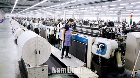 Sản xuất các loại vải bò phục vụ xuất khẩu tại Cty CP TCE VINANIM, KCN Hòa Xá (TP Nam Định).