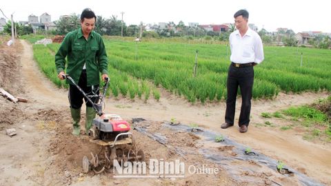 Bác Vũ Văn Thịnh, xóm Tân Thịnh, xã Hải Triều ( Hải Hậu) vận hành chiếc máy xới đất do mình cải tiến kỹ thuật.