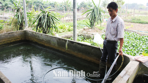 Anh Trần Trung Hoàng, làng Bịch, xã Minh Thuận (Vụ Bản) đang vệ sinh lại bể nuôi cá chép Koi.