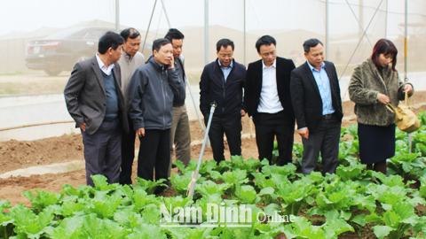 tham quan dự án đầu tư phát triển nông nghiệp công nghệ cao tại vùng đất bãi xã Xuân Hồng (Xuân Trường) của Cty VinEco thuộc tập đoàn Vingroup.