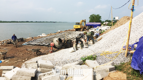 Thi công dự án xử lý khẩn cấp kè Mặt Lăng đê hữu sông Hồng, huyện Trực Ninh.