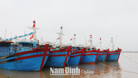 Ngư dân xã Hải Triều (Hải Hậu) đưa tàu thuyền về khu neo đậu tránh bão tại Cảng cá Ninh Cơ.