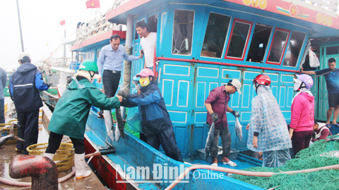 Vận chuyển cá từ tàu lên bờ sau chuyến ra khơi của tàu anh Bùi Văn Thắng, xã Hải Triều (Hải Hậu).