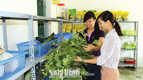 Cửa hàng giới thiệu sản phẩm các mô hình khuyến nông của huyện Ý Yên tại Thị trấn Lâm.