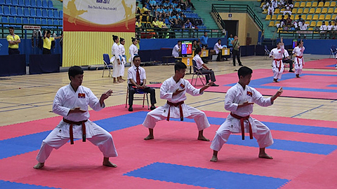 Các vận động viên tham gia tranh chấp 59 bộ huy chương với các nội dung: kata, kumite cá nhân, đồng đội nam, đồng đội nữ của cả 3 nhóm tuổi: 14-15, 16-17 và 18-21 tuổi.