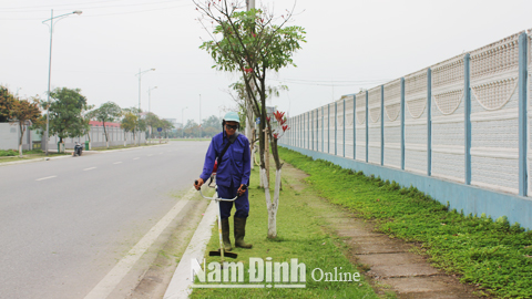 Nhân viên Cty CP Đầu tư hạ tầng KCN Bảo Minh cắt tỉa cây xanh, bảo đảm cảnh quan môi trường sạch đẹp.