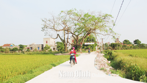 Tuyến đường liên xóm của xã Nam Toàn vừa được hoàn thành tạo thuận lợi cho việc đi lại của nhân dân.