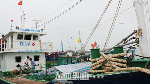 Tàu vỏ thép của ngư dân xã Nghĩa Hải (Nghĩa Hưng) chuẩn bị ra khơi.
