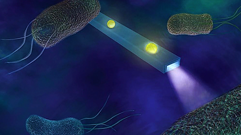 Mô phỏng những sợi cáp quang có kích thước vô cùng nhỏ đang bơi lội trong môi trường của các tế bào.