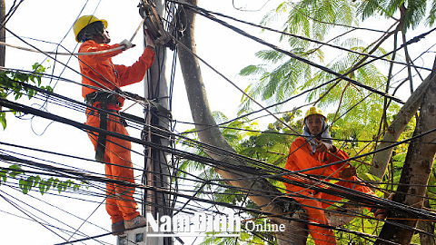 Điện lực Thành phố Nam Định chỉnh trang hệ thống cáp viễn thông đi chung trên cột điện tại khu vực Đệ Tứ, phường Lộc Hạ bảo đảm an toàn trong mùa mưa bão.