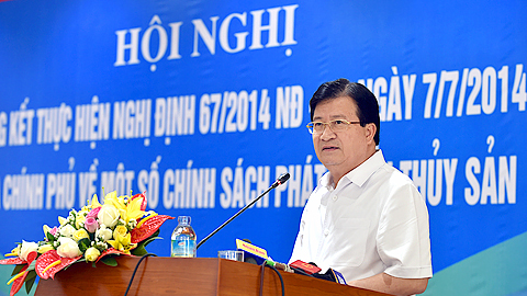 Phó Thủ tướng Trịnh Đình Dũng phát biểu kết luận Hội nghị.