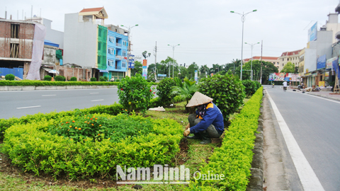 Chăm sóc thảm hoa trên dải phân cách đường Võ Nguyên Giáp (TP Nam Định).