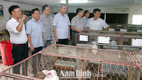Tham quan mô hình HTX dịch vụ chăn nuôi Sơn Nam, xã Hải Trung (Hải Hậu).