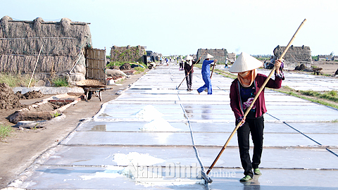 Diêm dân xã Bạch Long (Giao Thủy) ứng dụng công nghệ cao vào sản xuất muối.