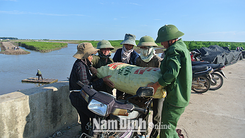 Người dân thu gom thủy hải sản tại bãi sú vẹt xã Nam Điền (Nghĩa Hưng).