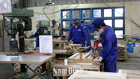 Cty CP Chế biến lâm sản Nam Định, doanh nghiệp hàng đầu trong lĩnh vực chế biến gỗ với doanh thu trên 500 tỷ đồng, kim ngạch xuất khẩu đạt từ 20-25 triệu USD/năm. 