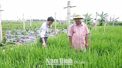 Mô hình trồng hoa, cây cảnh của đảng viên Trần Văn Giả (bên phải) xóm 1, xã Xuân Ninh (Xuân Trường) cho hiệu quả kinh tế cao.