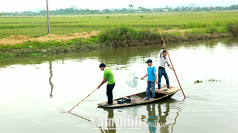 Người dân sử dụng bình ắc-quy điện để đánh bắt thủy sản tại xã Yên Phong (Ý Yên).