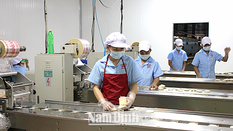 Sản xuất các loại bánh kẹo tại Cty TNHH Thương mại Hòa Bình, CCN An Xá (TP Nam Định).