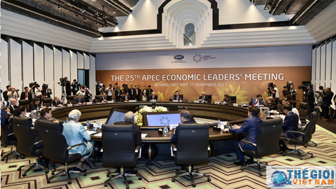 Toàn cảnh phiên họp Hội nghị các Nhà Lãnh đạo kinh tế Diễn đàn Hợp tác kinh tế châu Á - Thái Bình Dương (APEC) lần thứ 25 với chủ đề 