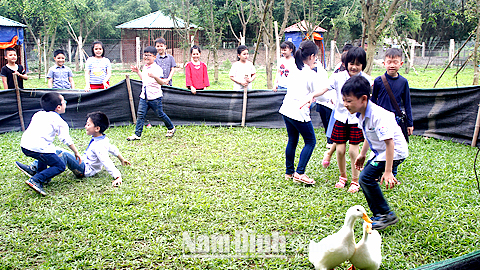 Học sinh Trường Tiểu học Trần Quốc Toản (TP Nam Định) tham gia hoạt động trải nghiệm tại Khu du lịch sinh thái Núi Ngăm, Vụ Bản.