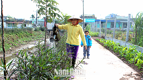 Hội viên phụ nữ xóm 7, thôn Nam Ngoại, xã Trực Mỹ chăm sóc đường hoa.