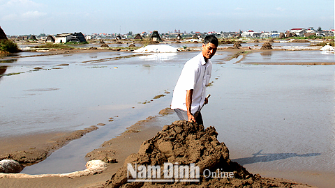 Sản xuất muối theo phương pháp phơi cát truyền thống tại xã Bạch Long (Giao Thủy).