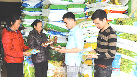 Nông dân mua lúa giống chuẩn bị cho vụ xuân tại một cửa hàng kinh doanh giống cây trồng ở xã Lộc An (TP Nam Định).
