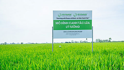 Mô hình sản xuất lúa sử dụng phân bón thông minh tại huyện Tam Nông, tỉnh Đồng Tháp đã đạt được nhiều kết quả tốt.