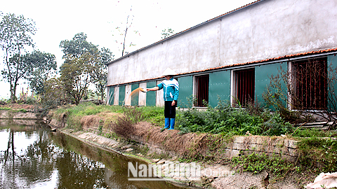 Gia trại nuôi thủy sản nước ngọt và gia súc của ông Lê Văn Quyết, xóm Đông Phú, xã Yên Thành.