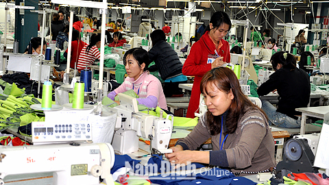 Sản xuất hàng may mặc xuất khẩu tại Cty TNHH Youngone Nam Định (KCN Hòa Xá).