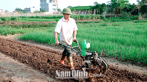 Anh Trần Văn Tuyến, xã Hải Triều (Hải Hậu) sử dụng chiếc máy làm vườn mi ni do anh sáng chế.