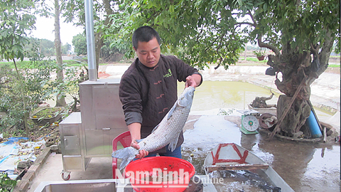 Anh Phạm Đức Cường sơ chế cá trước khi nướng xông khói tại xã Mỹ Hà (Mỹ Lộc).