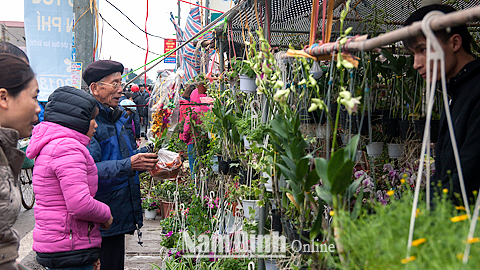 Du khách chọn mua hoa tại hội chợ Viềng Xuân Vụ Bản 2018. Ảnh: Viết Dư