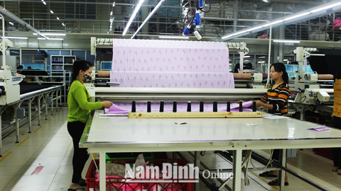 Nữ công nhân lao động Cty TNHH Việt - Pancific (Nam Trực) vận hành máy trải vải.