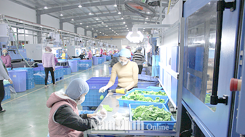 Sản xuất đồ chơi trẻ em xuất khẩu tại Cty TNHH JY Plastic Nam Định, CCN Hải Phương (Hải Hậu).