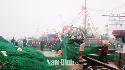 Ngư dân chuẩn bị ngư lưới cụ cho chuyến vươn khơi dài ngày tại cảng cá Ninh Cơ, Thị trấn Thịnh Long (Hải Hậu).