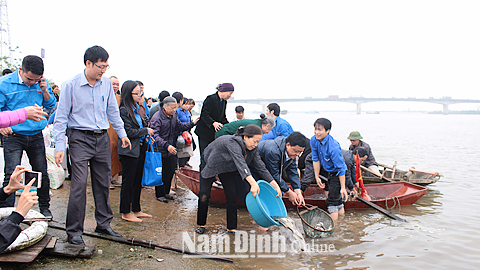 Cán bộ Sở NN và PTNT cùng người dân thả giống thủy sản nước ngọt xuống sông Hồng tại địa phận xã Mỹ Tân (Mỹ Lộc).