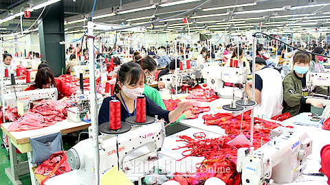 Cty TNHH Kiara Garments Việt Nam tại Thị trấn Cát Thành (Trực Ninh) tạo công ăn, việc làm cho trên 600 lao động địa phương.