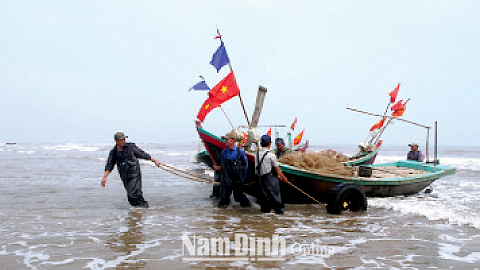 Ngư dân xã Hải Triều ra khơi khai thác hải sản.