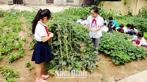 Giờ học thực nghiệm của các em học sinh lớp 5, Trường Tiểu học Nam Đào, Thị trấn Nam Giang.