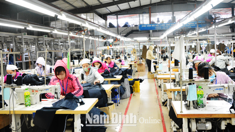 Nguồn vốn vay của BIDV Nam Định đã giúp Cty CP May Vĩnh Thực, xã Yên Trị (Ý Yên) có thêm nguồn lực đầu tư sản xuất hàng xuất khẩu, tạo việc làm và thu nhập ổn định cho trên 300 lao động địa phương.